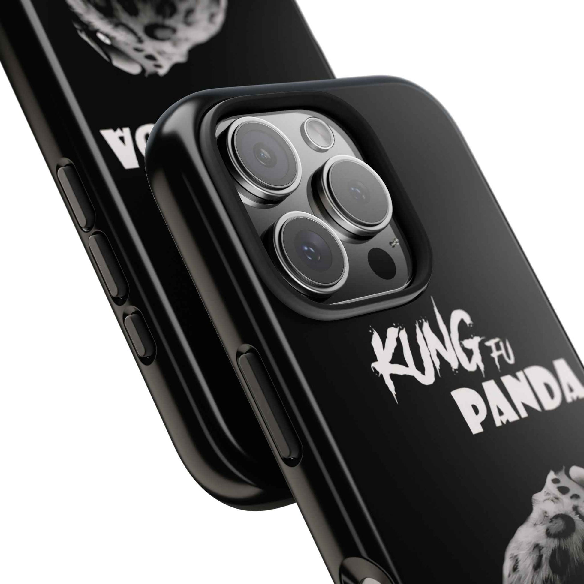 Kung Fu Panda Inspired Disney